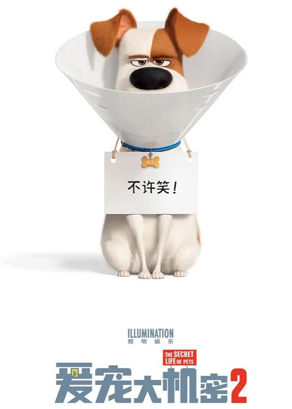 爱宠大机密2（普通话）}
