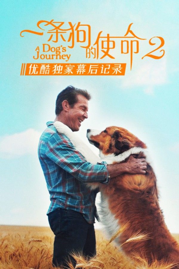 《一条狗的使命2》优酷独家幕后记录}